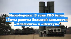 Минобороны: В зоне СВО были сбиты ракеты большой дальности «Фламинго» и «Нептун»