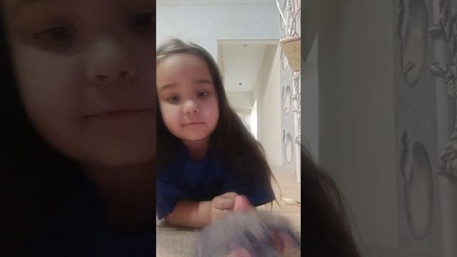 Антистрессы.mp4