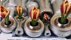 С 8 Марта ТЮЛЬПАНЫ -TDPS66.RU