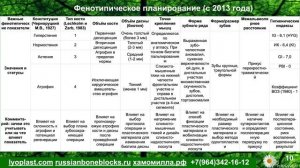 Метаболический менеджмент мягких тканей Часть 1