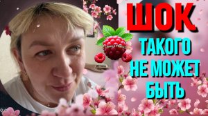 Деревенский дневник _Такого просто не может быть _Обзор _Леля Побируха _Ольга Быкова _Мать-героиня