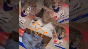 1000050603.mp4 (Собака наблюдает за устройством лестницы на 2-ой этаж в доме А-фрейм)