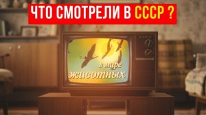 ЧТО_СМОТРЕЛИ_В_СССР__Легендарные_передачи_советского_ТВ