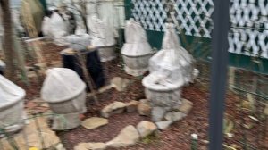 Сад 🌿🌿🌿 6 марта 26г