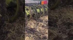 Севооборот после озимой пшеницы