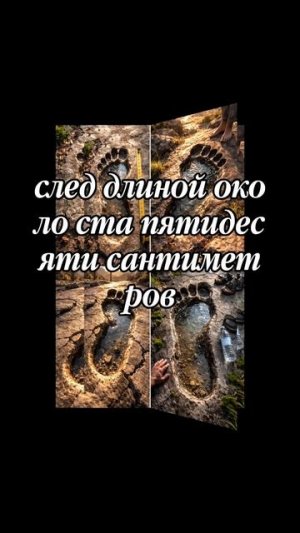 След пророка Адам а.с.  #islam #allah #islamic