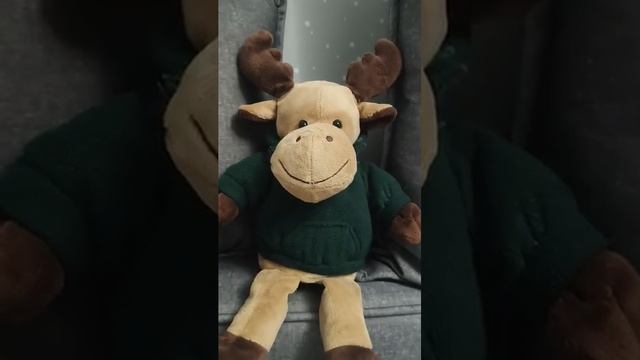 Кривое зеркальце обзоры на Губареву- Губарева, ты не лев, ты лось.