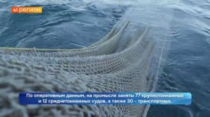 ПРОМЫСЕЛ ТИХООКЕАНСКОЙ СЕЛЬДИ У БЕРЕГОВ КАМЧАТКИ ОПЕРЕЖАЕТ РЕЗУЛЬТАТЫ 2025 ГОДА•НОВОСТИ КАМЧАТКИ