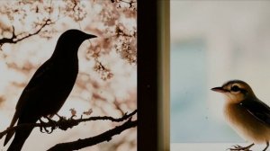 Птицы поют о любви