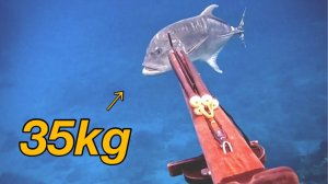 Подводная охота / Рыба-тревалли с грубым хвостом, 35 кг