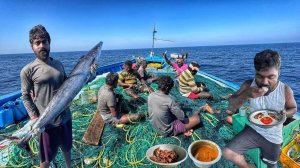 От океанского гиганта до острых блюд! / Лучшее сочетание глубоководных рыб!!