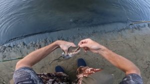 РЫБАЛКА НА ДОНКИ