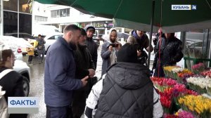 Незаконную торговлю краснокнижными первоцветами пресекают в Сочи