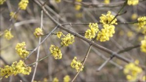 7 марта - Портал, который открывается раз в год.