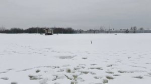 VID_20260306_130258_607