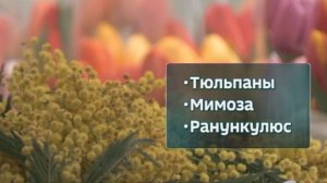 Готовимся к 8 Марта: чёткая инструкция по выбору подарков