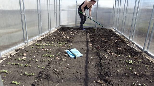 ДАЧА. Сажаю редиску и помидоры / Кушаем пельмени / Дети поймали ящерицу