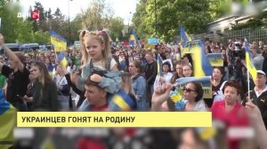 Украинцев гонят на родину