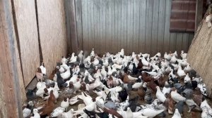 7.03.2026г Завтра Состоится Ярмарка Ст.Бронницы !!!