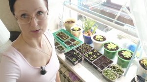 5 марта 2026 года. Видео привет с подоконника))