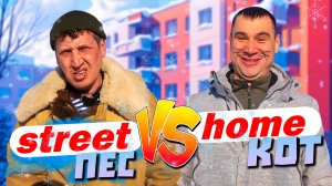 Обычная жизнь домашних животных