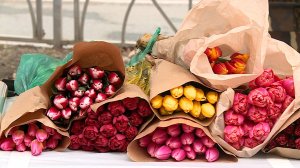 Где купить цветы для любимых женщин на 8 марта в Ставрополе