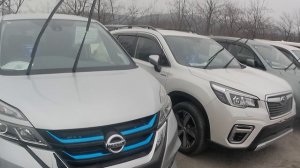 Зеленый угол-авторынок в марте.Что продают?По каким ценам?