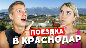 КОННАЯ ПРОГУЛКА, О КОТОРОЙ МЕЧТАЛИ | Парк Галицкого