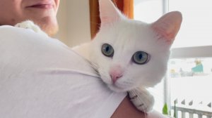 Дела и заботы в деревне. Наши питомцы.