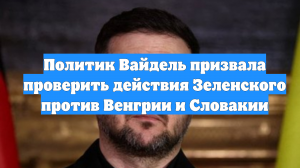 Политик Вайдель призвала проверить действия Зеленского против Венгрии и Словакии