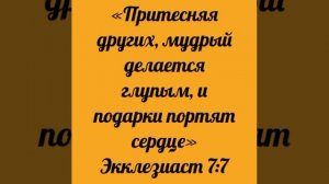 YouCut_20260306_034132589.mp4