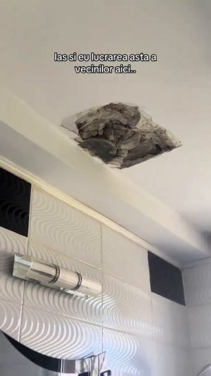 Неожиданный гость