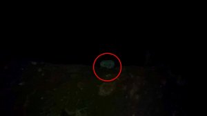 Страшные видео! В Лесу ночью Ужасный Страшный Зверь попал в кадр