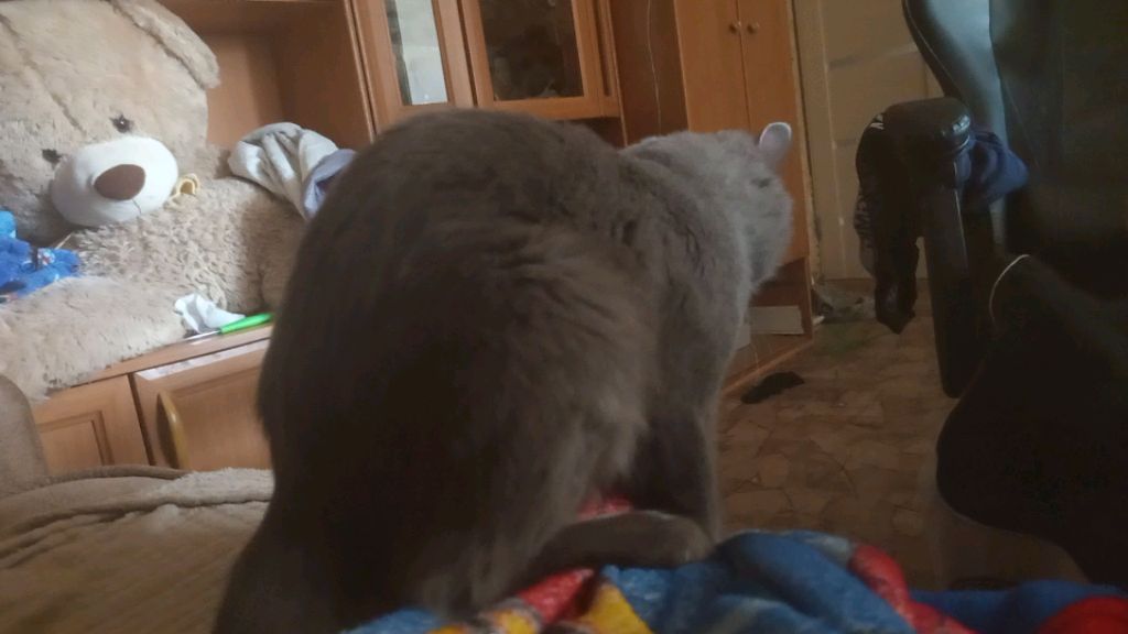 продолжение игр