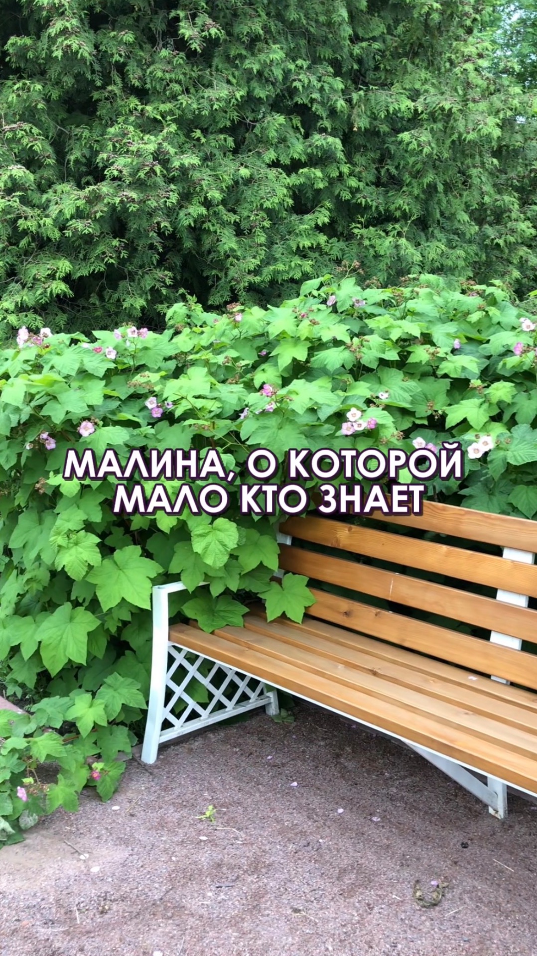 copy_15CECC5F-5875-42EC-A028-4ED419E944DF