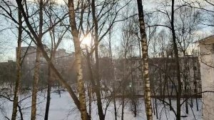 Адвокаты тоже люди, Лена не обижай убогих