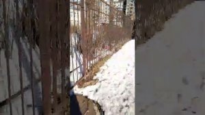 обзор моего района