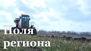 30 тысяч гектаров земли под урожай задействуют в Краснодонском районе