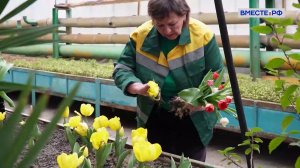 Поддержка отечественных цветоводов. Андрей Епишин. Сказано в Сенате