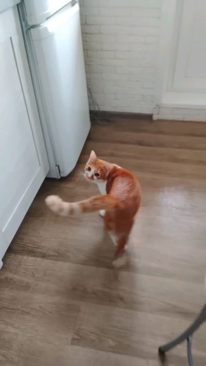 просто послушайте 😔