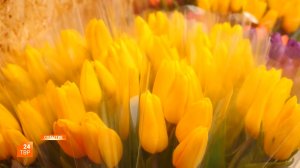 В канун ажиотажа