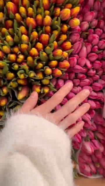 Тюльпаны на 8 марта