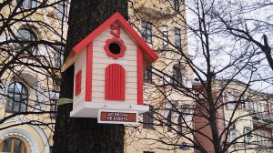 Встреча с подписчицей: из виртуального мира в реальный,Лена! Удалила случайно видео!🙈