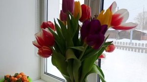 Девушки любите только себя и радуйте себя сами!!