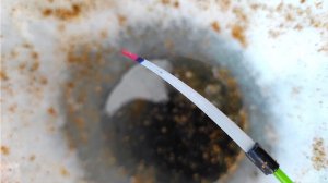 ЛУПЯТ КАК ДУРНЫЕ! Уехали  в ДЕРЕВНЮ и вот кто КЛЮЁТ! Рыбалка в марте 2026