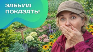 Осенние покупки, которые я забыла показать!