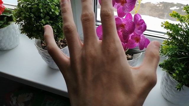 Наш обычный день.