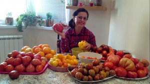 СВЕРХ урожайные сорта КОЛЛЕКЦИОННЫХ ТОМАТОВ / ИНДЕТЫ, ГНОМЫ, ГРУНТОВЫЕ 2026