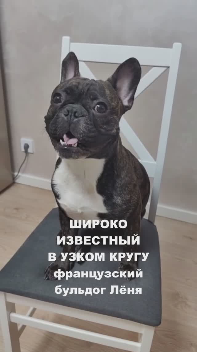 СКАЗКА ПРО ЩЕНКА, КОТОРЫЙ ПИЛ ЛАПОЙ.