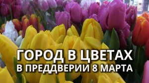 Саратов готов праздновать 8 Марта